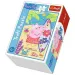 Peppa Pig najpiękniejsze dni 54-elementowe mini puzzle 4 rodzaje - Trefl