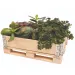 PlayBox: Skrzynka paletowa z drewna 18x28x8,65 cm