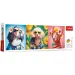 Pokaz mody dla psów panorama puzzle 500 elementów - Trefl