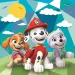 Psi Patrol Super Color 3 w 1 puzzle - Clementoni