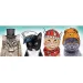 Puszysta drużyna Panorama puzzle 500 elementów - Trefl