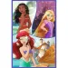 Puzzle Disney+Księżniczki Przyjaciółki 3x80 elementów - Trefl