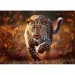 Puzzle Leopard Premium Plus 1000 elementów - Trefl