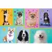 Puzzle z 100 elementów – Psy – Trefl