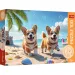 Puzzle z 100 elementów z pieskami rasy corgi – Trefl