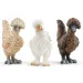 Schleich: Farm World - Zestaw figurek Przyjaciele kurczaków (42574)