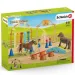 Schleich: Farm World - Zestaw treningu zręcznościowego dla kucyków (42481)