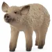 Schleich: Figura prosięcia Mangalica (14893)
