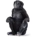 Schleich: Figura samicy bonobo (14875)