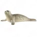 Schleich: Figurka foki (14801)