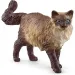 Schleich: Figurka kota rasy Ragdoll (13940)