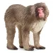 Schleich: Figurka makaka japońskiego (14871)
