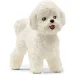 Schleich: Figurka psa rasy Bichon Frise (13963)