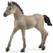 Schleich: Figurka źrebaka Criollo Definitivo (13949)