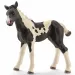 Schleich: Figurka źrebaka Pinto (13803)