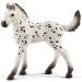 Schleich: Figurka źrebięcia Knabstrupper (13890)