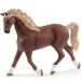 Schleich: Horse Club - Zestaw do mycia Emily i Luna (42438)