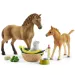 Schleich: Horse Club - Zestaw do pielęgnacji małych zwierząt Sarah (42432)
