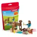 Schleich: Piknik z Lizą i jej pieskiem zestaw do zabawy (42746)