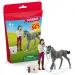 Schleich: Zestaw do pielęgnacji koni z źrebakiem Trakehner (42752)