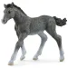Schleich: Źrebię trakeńskie figura (13944)