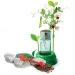 Science&amp;Play: Hydroponiczne laboratorium botaniczne - Clementoni