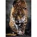 Spacer jaguara HQC puzzle 1000 elementów - Clementoni