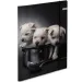 Spirit: Puppies teczka kartonowa A4 z gumką 600g