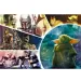 Star Wars: The Mandalorian 100-elementowe puzzle - Trefl