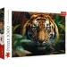 Tygrys w dziczy 1000-elementowe puzzle HQ - Trefl