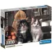 Urocze kocięta HQC puzzle 1000 elementów - Clementoni
