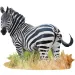 WOW zebra puzzle 1000 elementów