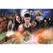 Wizarding World: Tajemnicze puzzle Harry Potter 300 elementów - Trefl