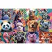Zabawne portrety zwierząt puzzle 300 elementów - Trefl