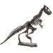 Zestaw archeologiczny z dinozaurami, różne rodzaje, 1 sztuka