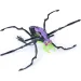 Hex Bots: Skitter Bot interaktywny robot pająk – zielono-fioletowy - Spin Master zdjęcie 3