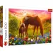 Konie na łące puzzle 500 elementów - Trefl