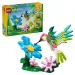 LEGO® Creator: Dzikie zwierzęta: Kolorowy koliber (31384) zdjęcie 1