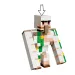 LEGO® Minecraft: Atak kurczaka, atak na pustyni (21592) zdjęcie 5