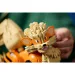 LEGO® Pokémon: Arcanine (72160) zdjęcie 10
