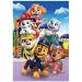 Paw Patrol Supercolor puzzle 104 elementów - Clementoni
