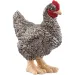 Schleich: Figura kury Plymouth Rock (13997)