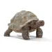 Schleich: Figurka żółwia olbrzymiego (14824)