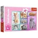 Słodkie kotki puzzle 60 elementów - Trefl